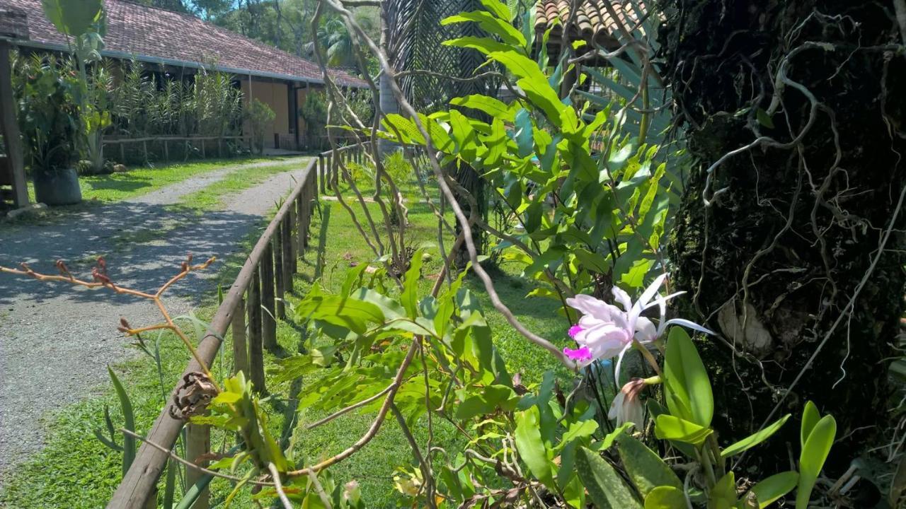 Pouso Bom Retiro Hotel Araquari Eksteriør billede